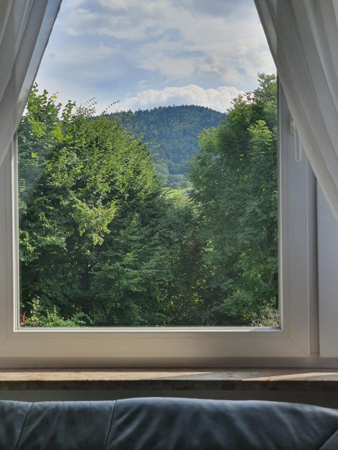 Apartamenty Straconka ,ビエルスコ・ビアバ エクステリア 写真